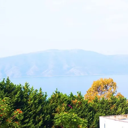 Kristal Vlore